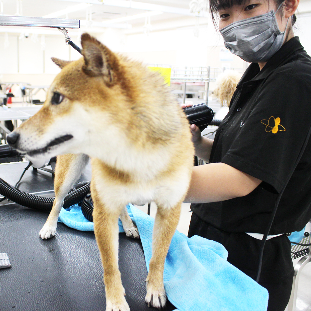今日もかわいいお客様♪